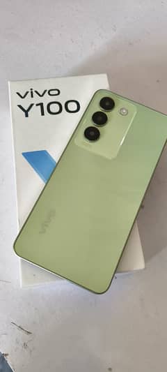 Vivo Y100 8+256