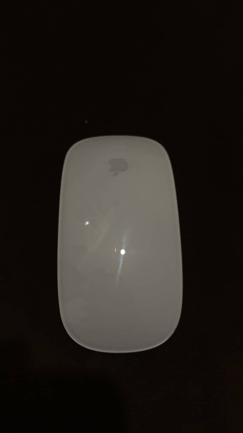 apple magic mouse 2 0