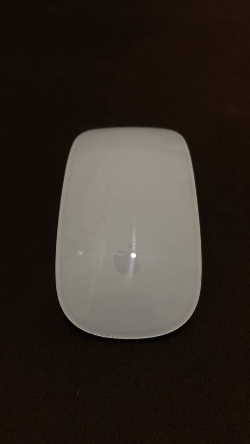 apple magic mouse 2 1