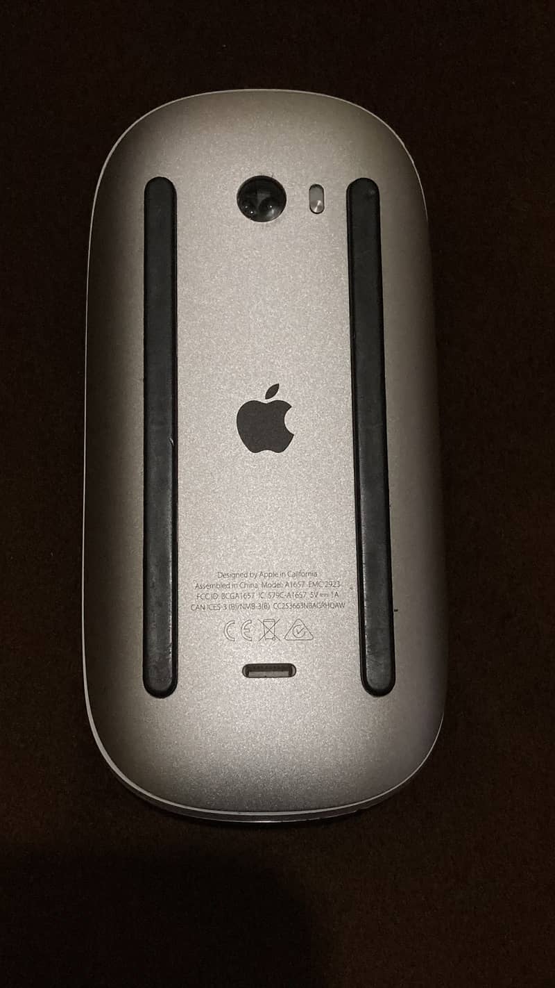 apple magic mouse 2 4