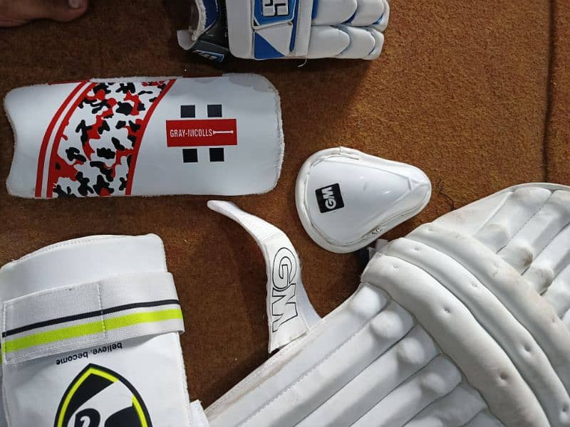 10 by 10 condition cricket kit 4