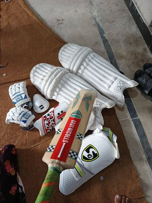 10 by 10 condition cricket kit 6