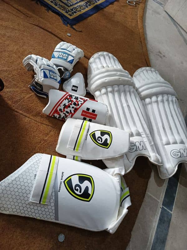 10 by 10 condition cricket kit 8