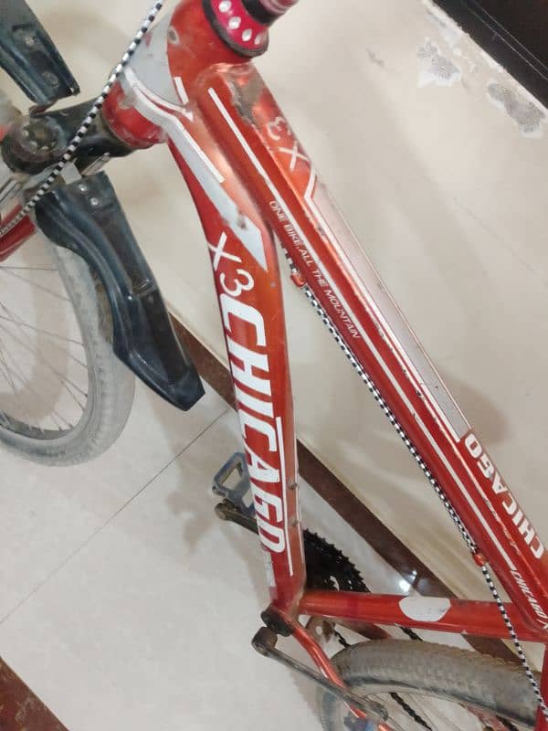 chicago cycle in best price 5