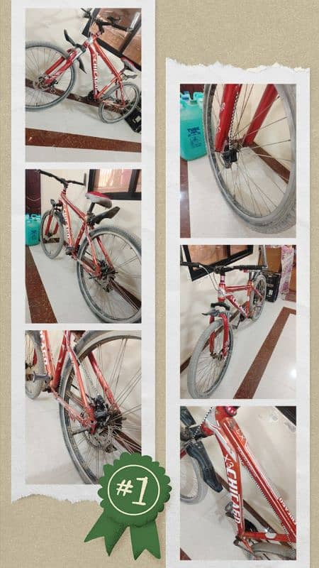 chicago cycle in best price 6