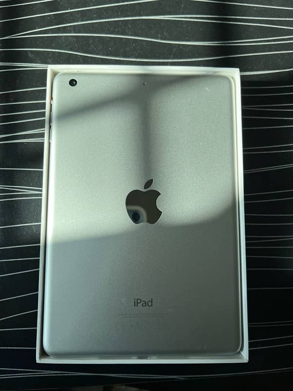 iPad mini 3 2