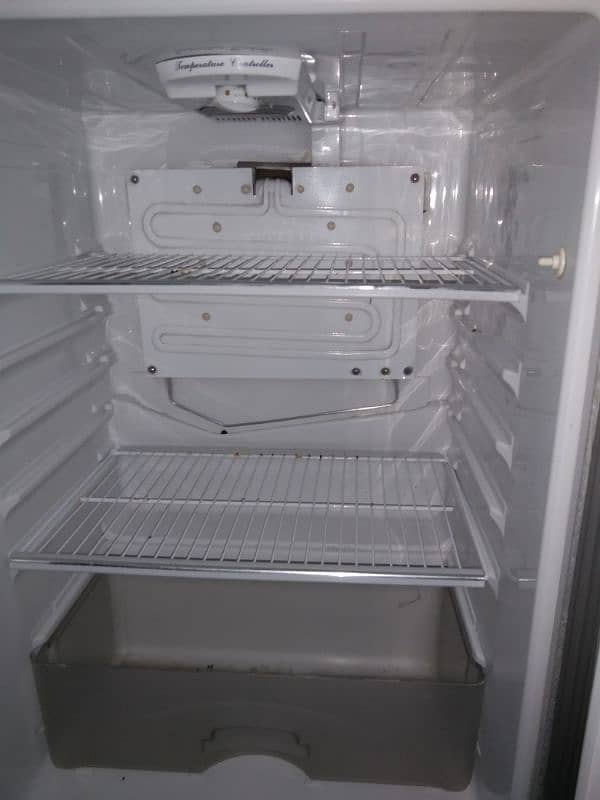 Dollars Fridge 0