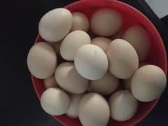 DESI EGGS