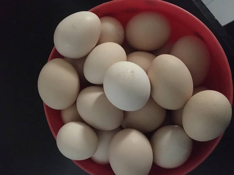 DESI EGGS 0