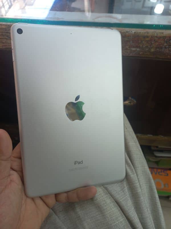 ipad mini 5 0