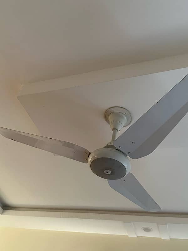 slightly used Fans 5