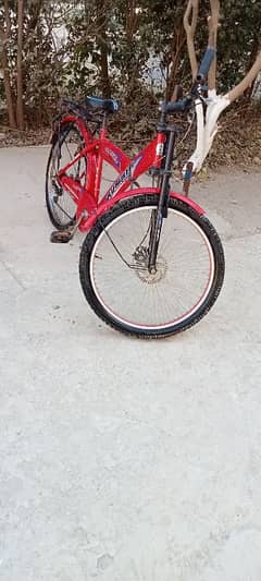 big cycle