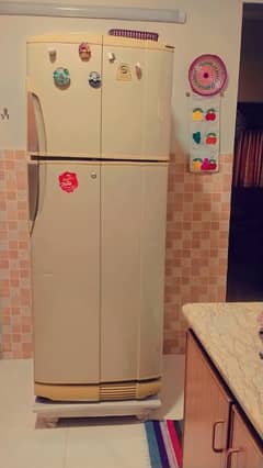 pel Jumbo size refrigerator