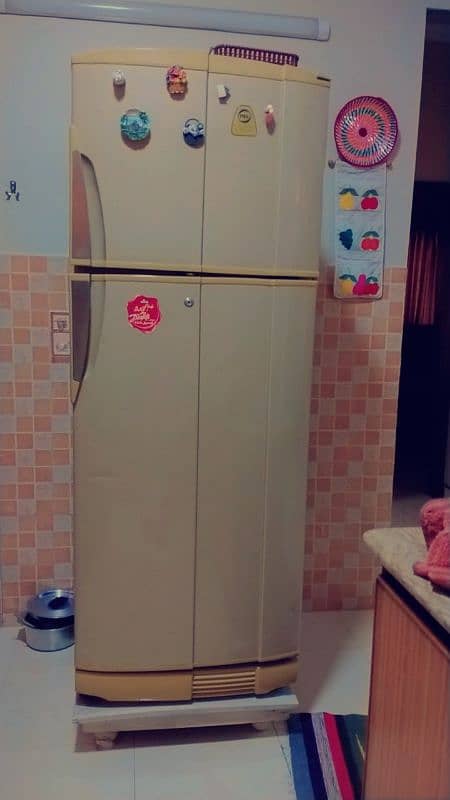 pel Jumbo size refrigerator 1