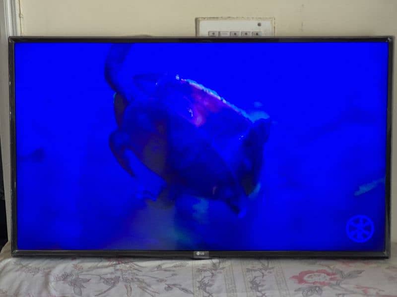 LG LED 4K 43" (Read Add) 2