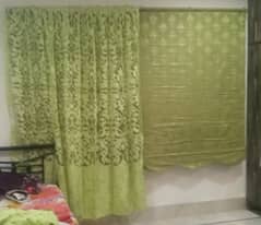 Green blind type curtain with net curtain