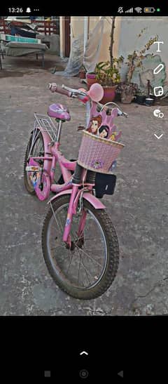 pink bicycle