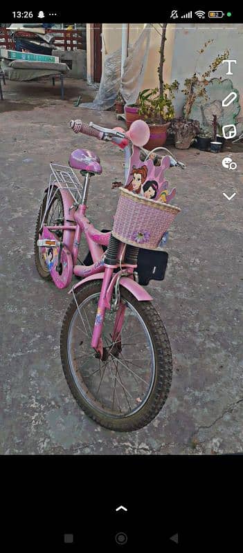 pink bicycle 0