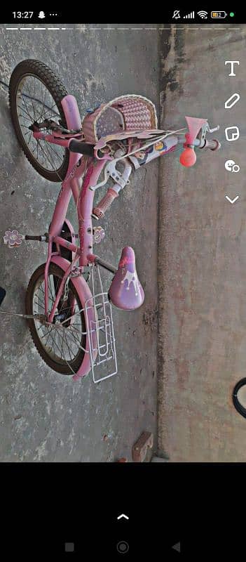 pink bicycle 1