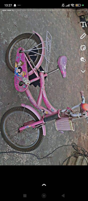 pink bicycle 2