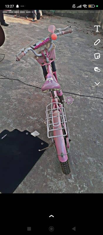 pink bicycle 3