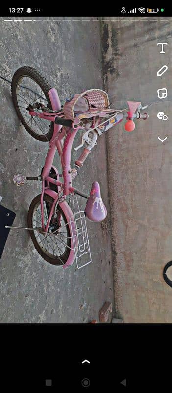 pink bicycle 4