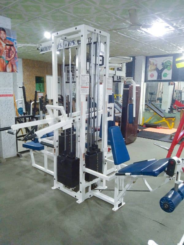 Master Trainer Body Master Gym USA 0