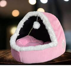 beautiful and comfortable kitten house free home delivery