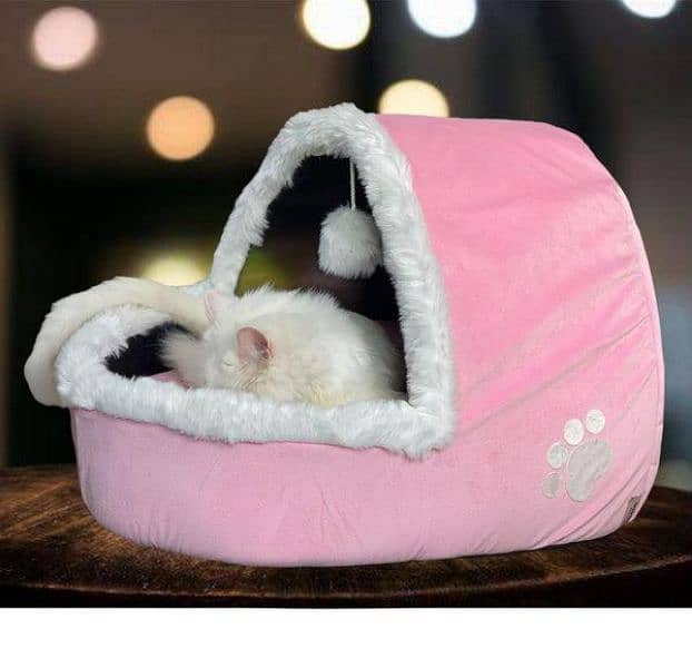 beautiful and comfortable kitten house free home delivery 2