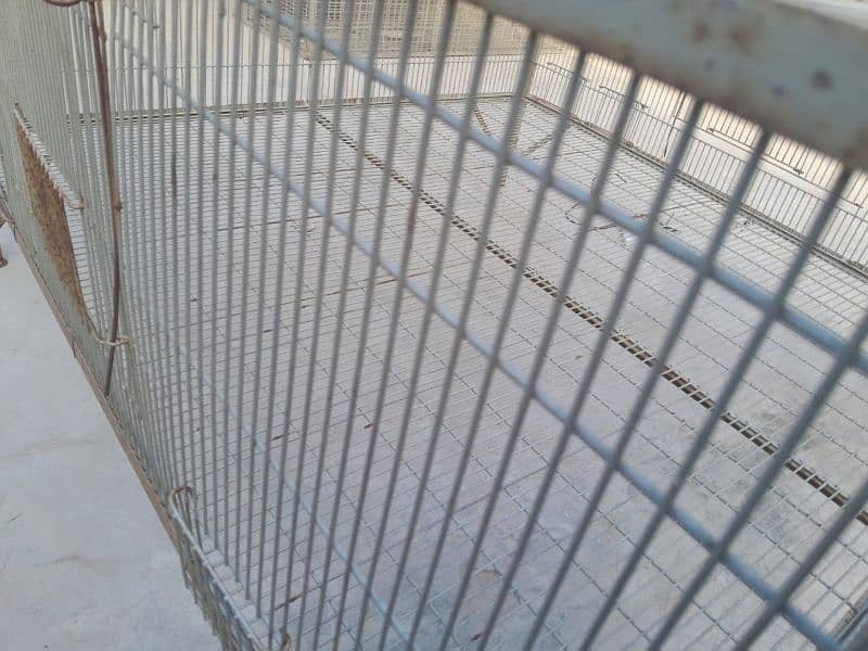 Cages for Sale in Lahore 3