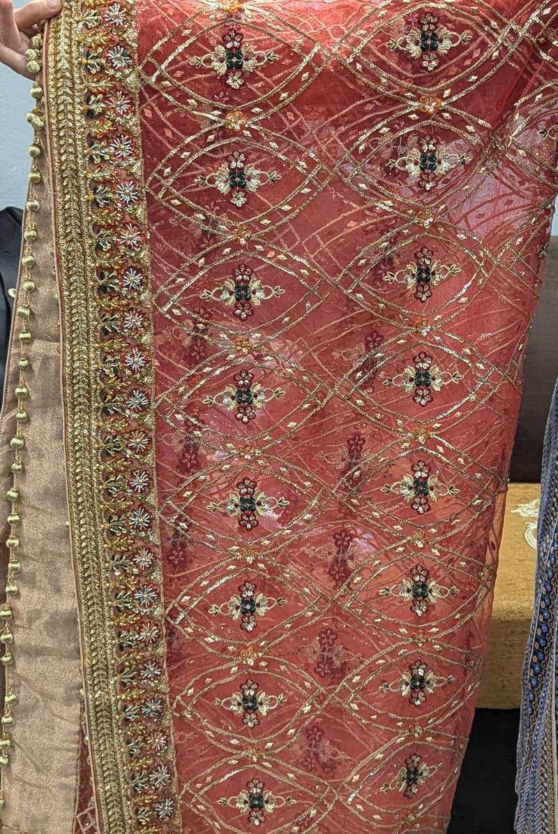 Bridal lehnga / Barat Lehnga / Wedding Barat Maxi 5