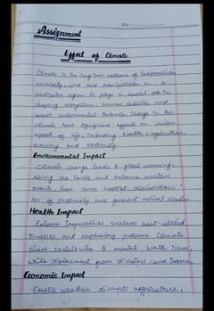 Handwriting assignment work