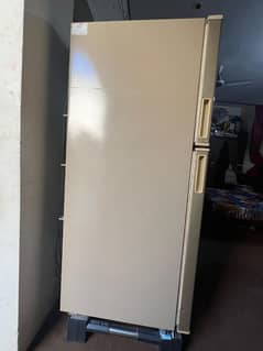 Refrigerator medium size