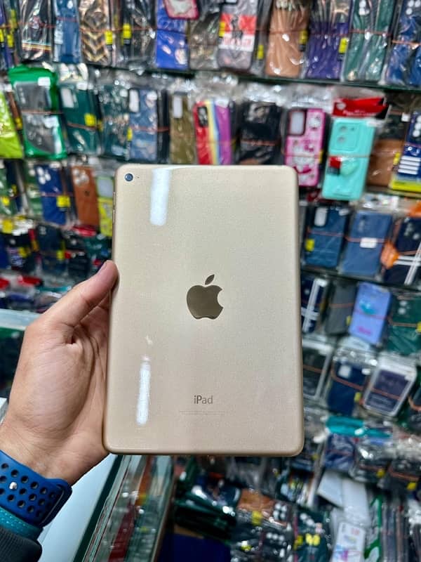 Ipad Mini 4 0