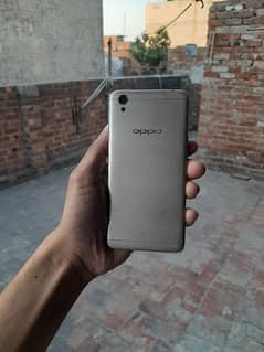 oppo