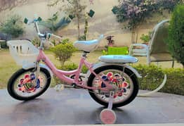 16 Size Barbie Frozen Pink Imported Cycle