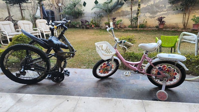 16 Size Barbie Frozen Pink Imported Cycle 2