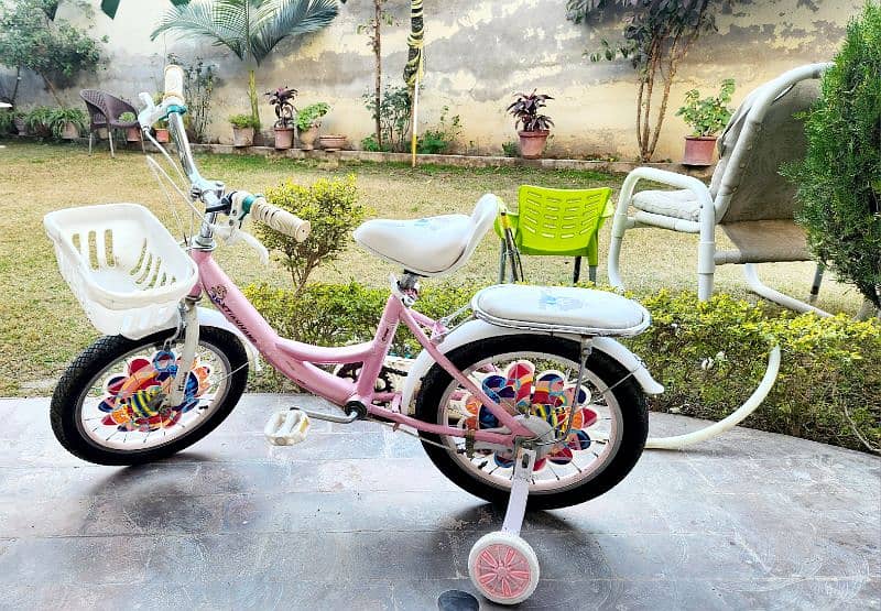 16 Size Barbie Frozen Pink Imported Cycle 3