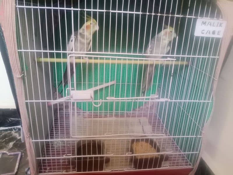 Tame Cocktail pair for sale 0