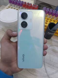 vivo y55