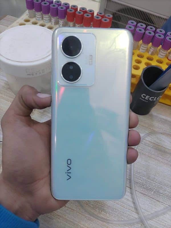 vivo y55 0