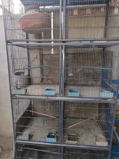 8 Portion Cage