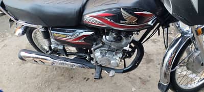 Honda 125 2024