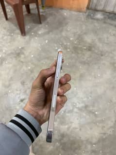 IPHONE 12 PRO MAX (URGENT SALE)