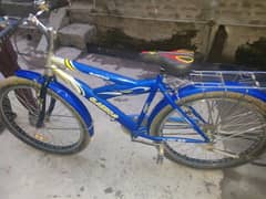 FREESTYLE Durable Blue Kids/Teen Bicycle – Great & Affordable!!