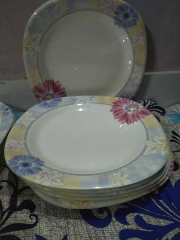 Best size Melamine Plates, Curry dish Rice slightly use 1