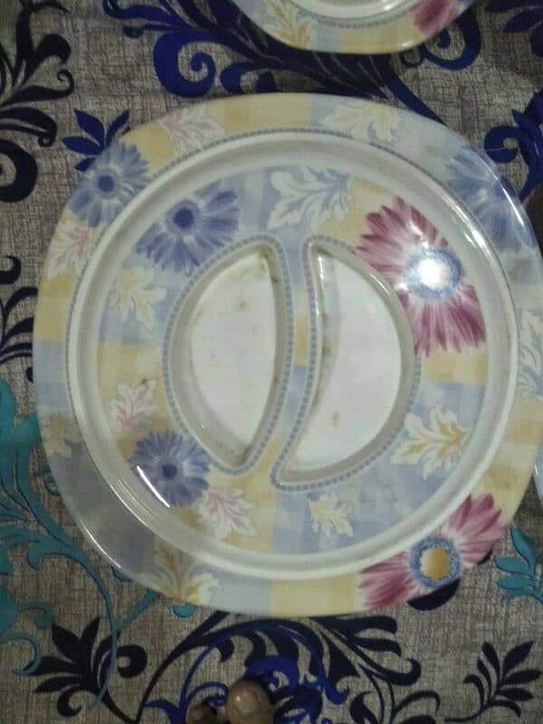 Best size Melamine Plates, Curry dish Rice slightly use 4