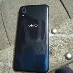 vivo