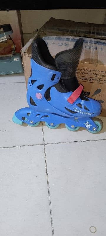 skating shoes 2