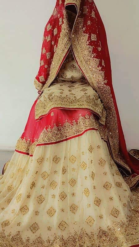 Pakistani style farshi lehnga 1